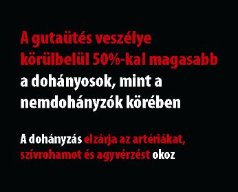 Hungary 2012 Health effects stroke - statistic, plain warning